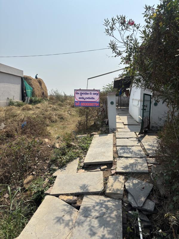  19 Cent Agricultural/Farm Land for Sale in Nandyal, Kurnool