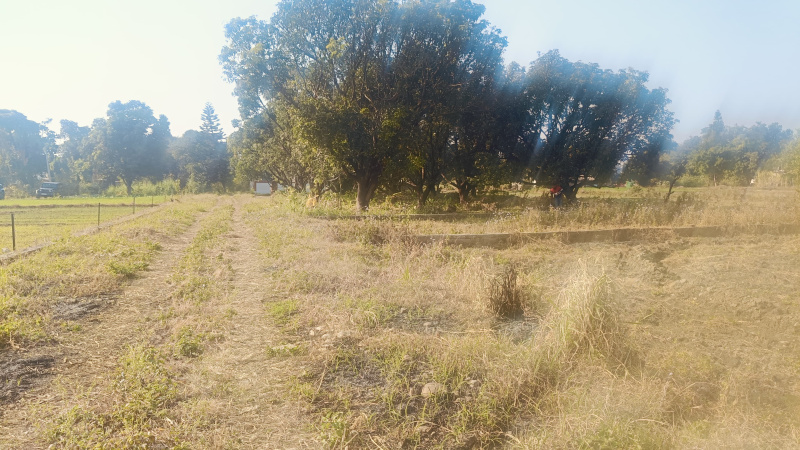  1431 Sq.ft. Residential Plot for Sale in Gaulapar, Nainital