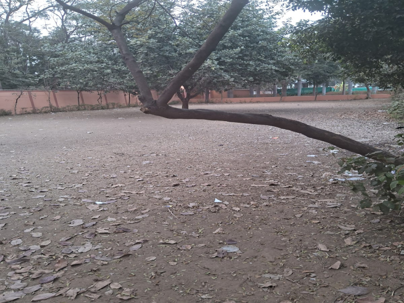 Vijay Nagar, Jabalpur photo 5