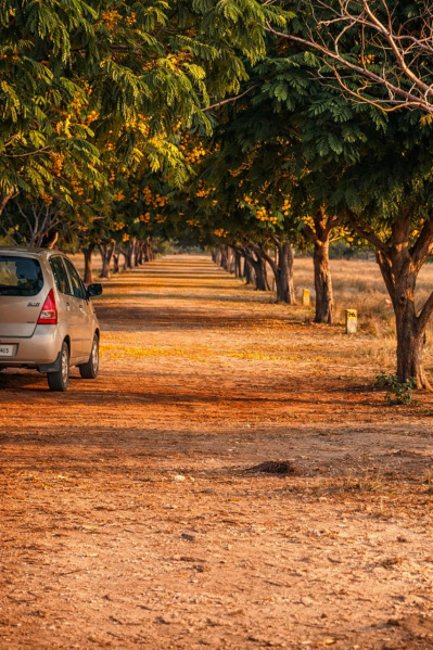  800 Sq.ft. Residential Plot for Sale in Kariapatti, Virudhunagar