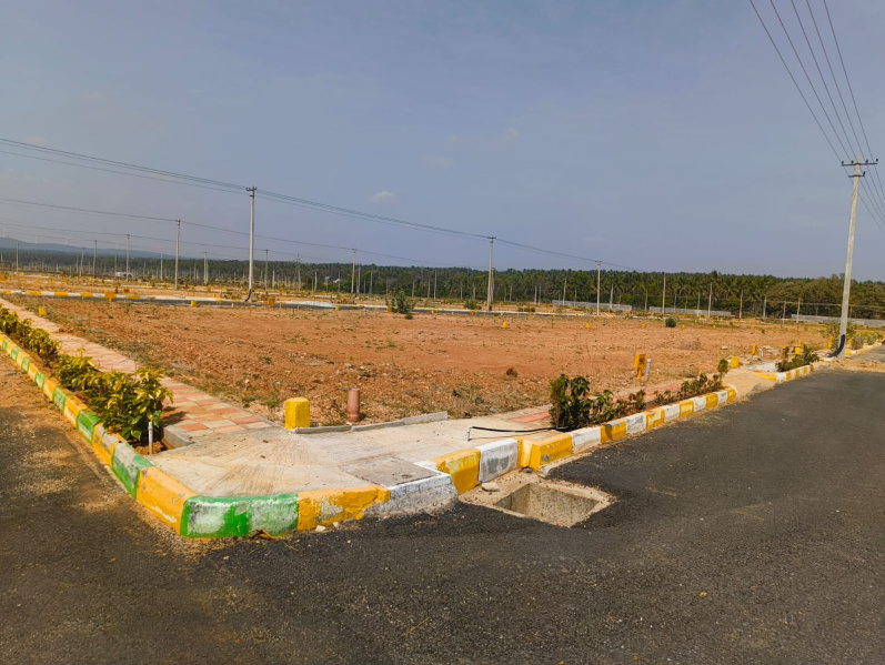  1200 Sq.ft. Residential Plot for Sale in Channarayapatna, Hassan