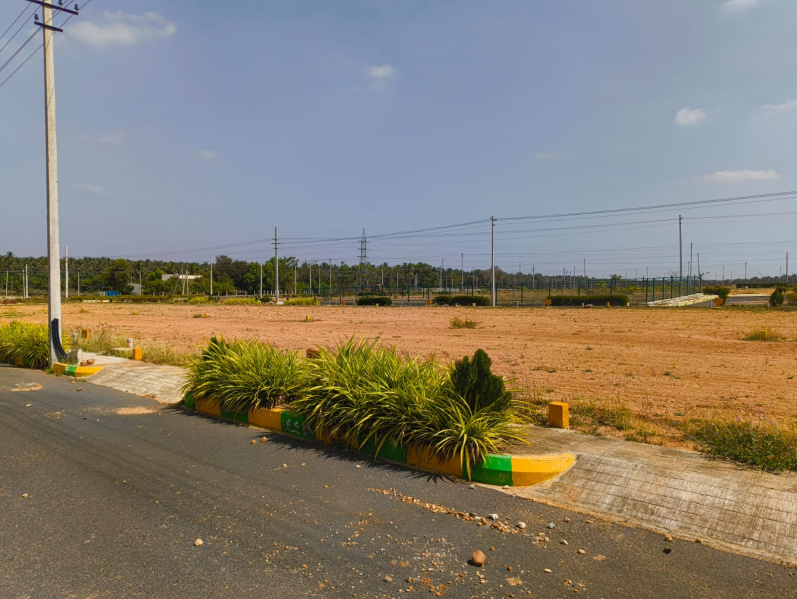  1200 Sq.ft. Residential Plot for Sale in Channarayapatna, Hassan