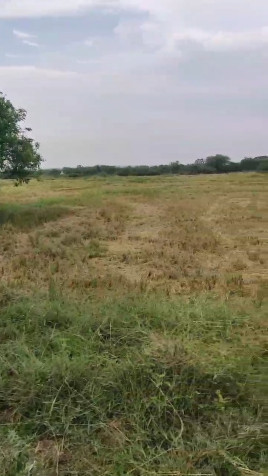 Pargi, Vikarabad photo 3