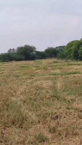 Pargi, Vikarabad photo 5