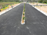  Residential Plot for Sale in Nandi Hills, Bangalore