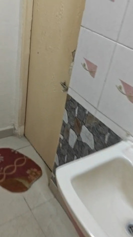 3 BHK 1360 Sq.ft. Apartment for Sale in Junwani Road, Durg