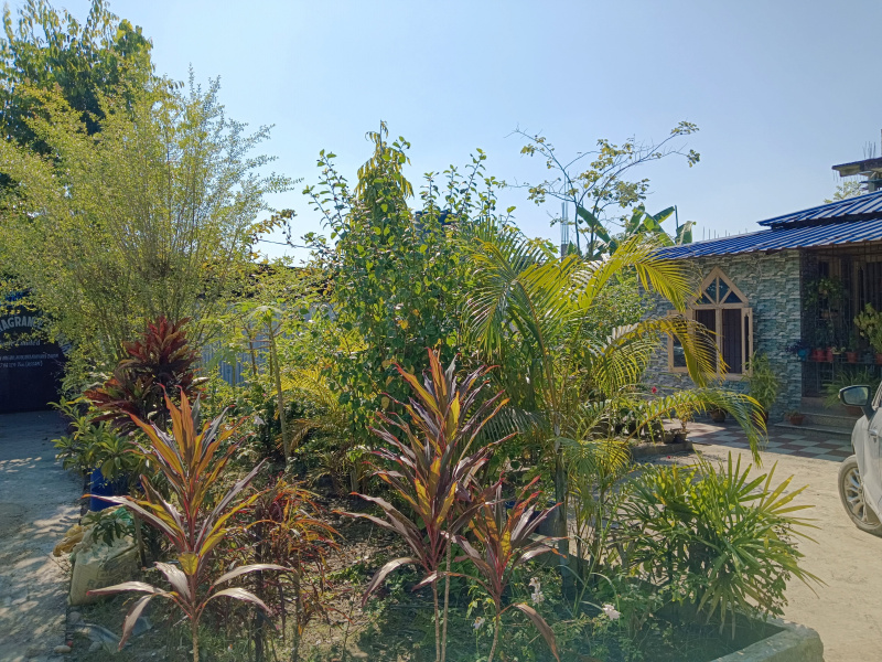  20094 Sq.ft. Residential Plot for Sale in Hijuguri, Tinsukia