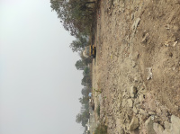  Industrial Land for Rent in Pashan Sus Road, Pune