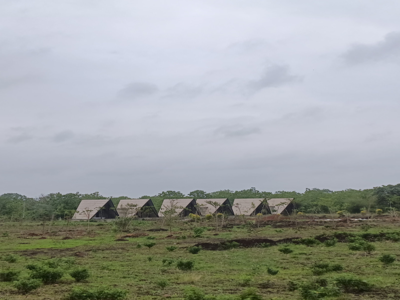  6000 Sq.ft. Agricultural/Farm Land for Sale in Hingna Road, Nagpur