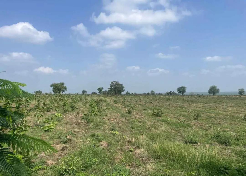 2 BHK 1100 Sq.ft. Farm House for Sale in Kachimet, Nagpur