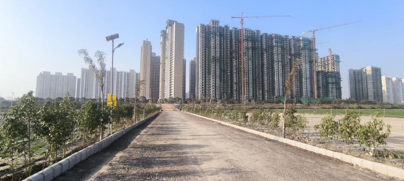 3 BHK 1008 Sq. Yards Farm House for Sale in Sector 150 Noida