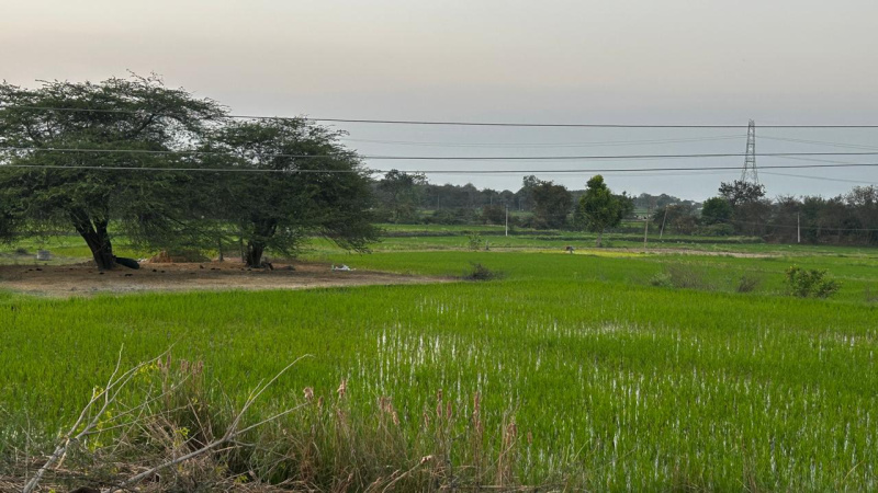 Tupran, Medak photo 4
