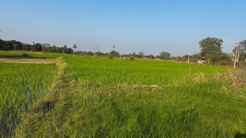Tupran, Medak photo 5