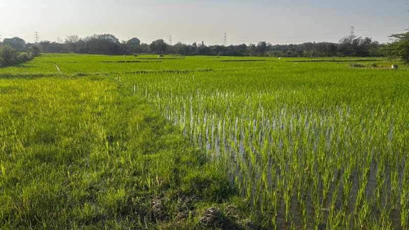Tupran, Medak photo 2