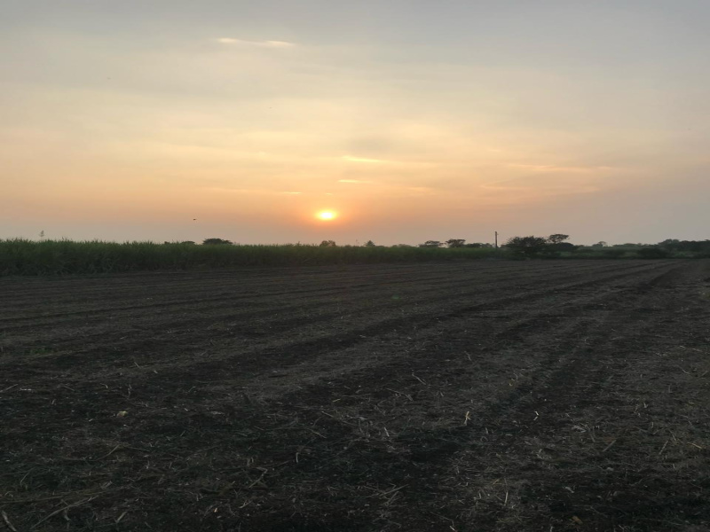  30000 Sq.ft. Agricultural/Farm Land for Sale in Sanaswadi, Pune