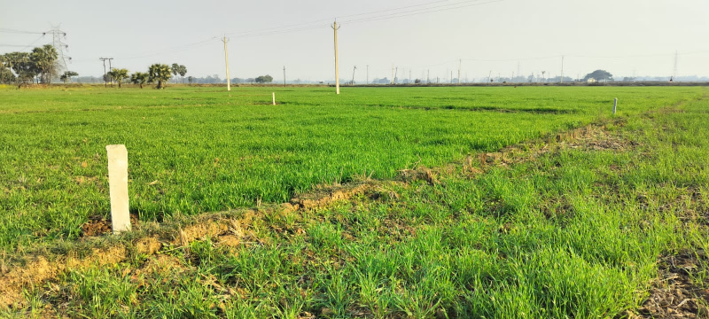  1200 Sq.ft. Residential Plot for Sale in Bihta, Patna