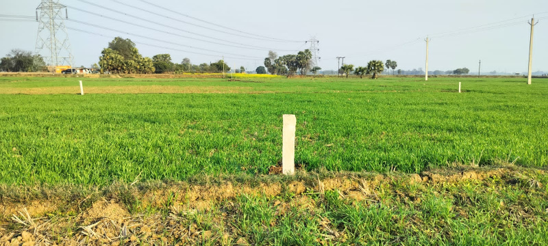  1200 Sq.ft. Residential Plot for Sale in Bihta, Patna
