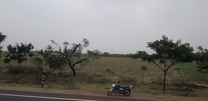  5 Acre Agricultural/Farm Land for Sale in Akkalkot, Solapur