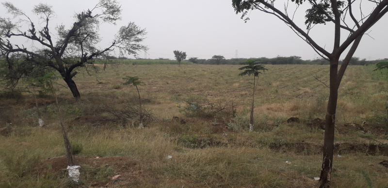  5 Acre Agricultural/Farm Land for Sale in Akkalkot, Solapur