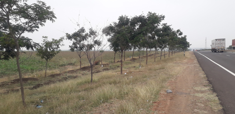  5 Acre Agricultural/Farm Land for Sale in Akkalkot, Solapur