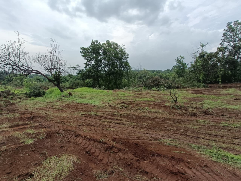  63 Guntha Agricultural/Farm Land for Sale in Mangaon, Raigad