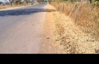  Agricultural Land for Sale in Kota Road, Bilaspur