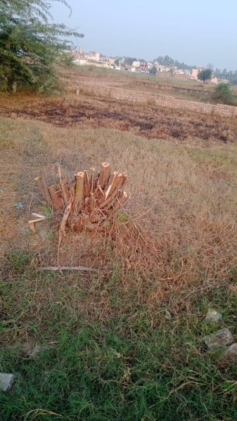 Pehowa, Kurukshetra photo 3
