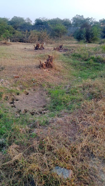 Pehowa, Kurukshetra photo 4