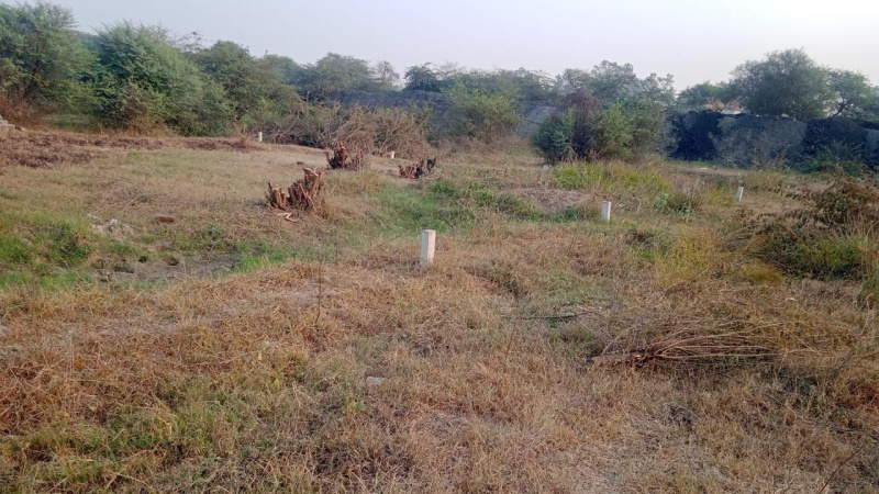 Pehowa, Kurukshetra photo 2