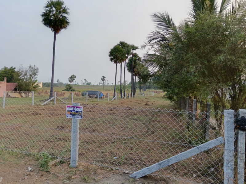  60 Cent Agricultural/Farm Land for Sale in Tiruchengode, Namakkal