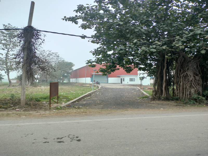  4600 Sq.ft. Warehouse for Rent in Hariawala, Kashipur