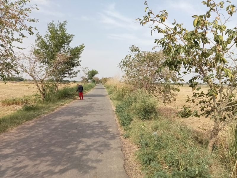  100 Sq. Yards Residential Plot for Sale in Khair, Aligarh