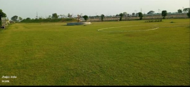  109 Sq. Yards Residential Plot for Sale in sector 27 jhajjar Jhajjar