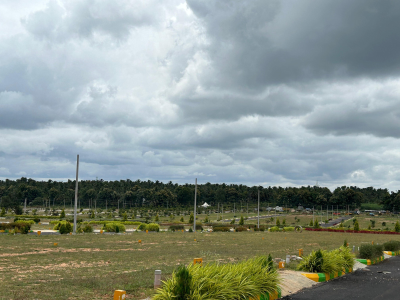  1200 Sq.ft. Residential Plot for Sale in Channarayapatna, Hassan