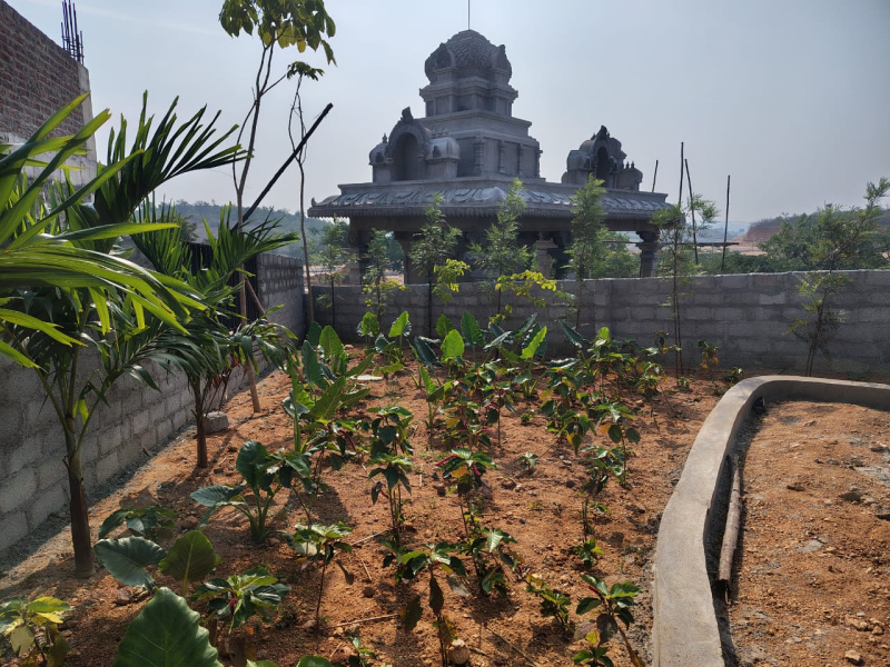  183 Sq. Yards Residential Plot for Sale in Kadthal, Rangareddy