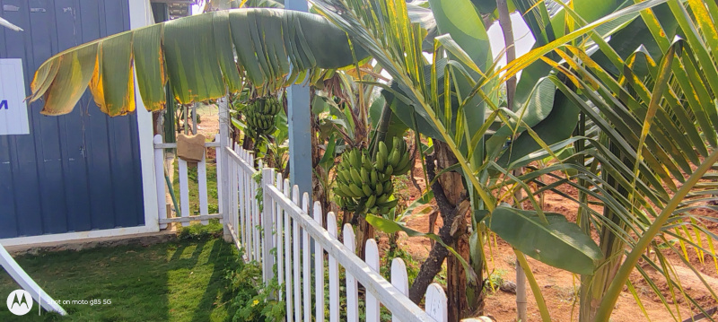  605 Sq.ft. Agricultural/Farm Land for Sale in Kandukur, Rangareddy