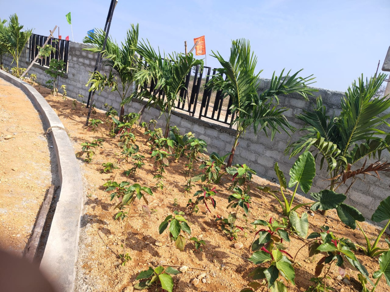  165 Sq. Yards Residential Plot for Sale in Kadthal, Rangareddy