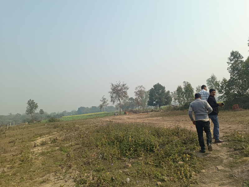  200 Bigha Residential Plot for Sale in Gangaganj, Lucknow