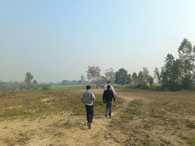  200 Bigha Residential Plot for Sale in Gangaganj, Lucknow