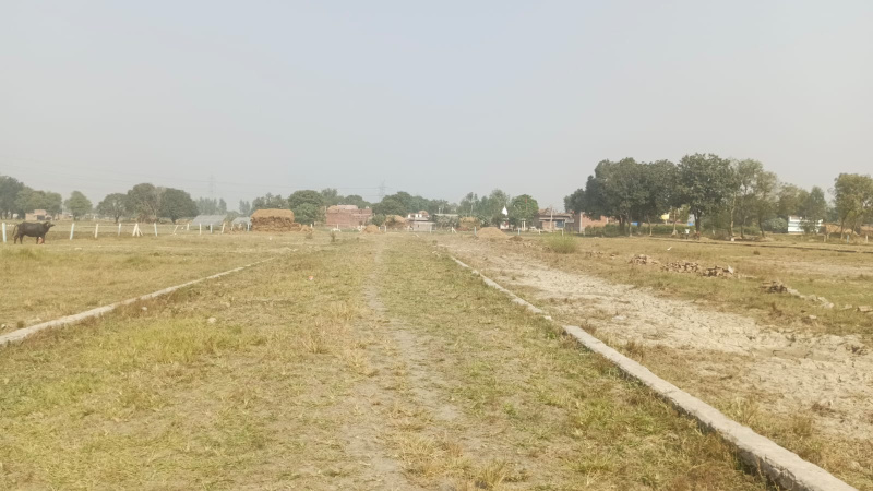  100 Sq. Yards Residential Plot for Sale in Allahabad Cantt