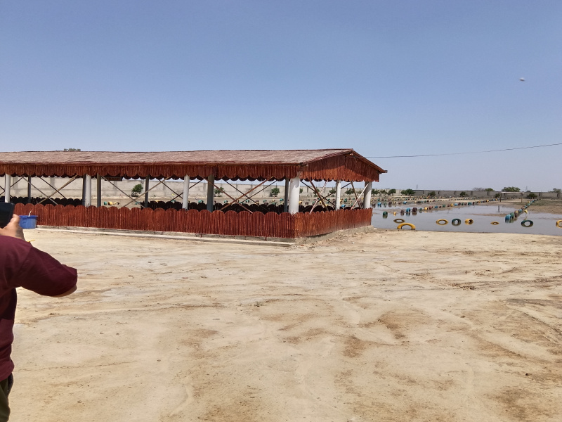 1 RK 1319 Sq.ft. Apartment for Sale in Rukmani Vihar, Mathura
