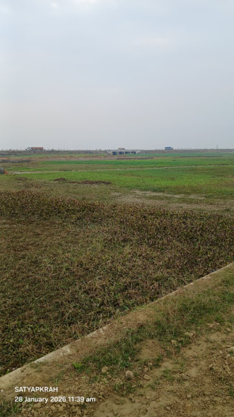  1000 Sq.ft. Residential Plot for Sale in Kaudia Jungle, Gorakhpur