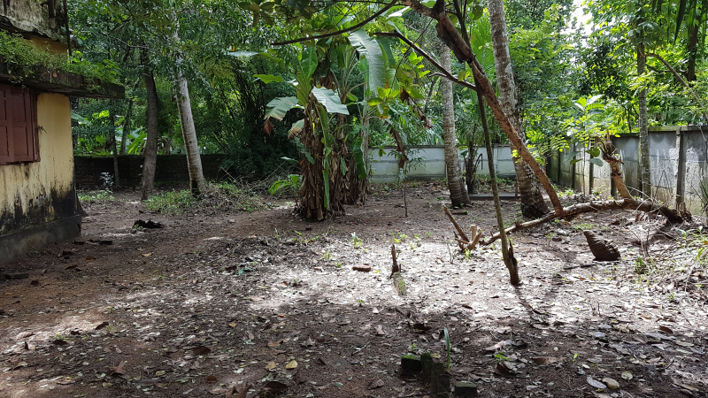  16 Cent Residential Plot for Sale in Paravur, Kollam