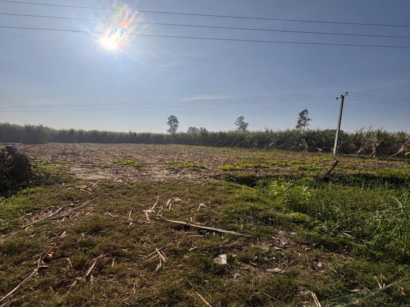  1 Bigha Agricultural/Farm Land for Rent in Jansath, Muzaffarnagar