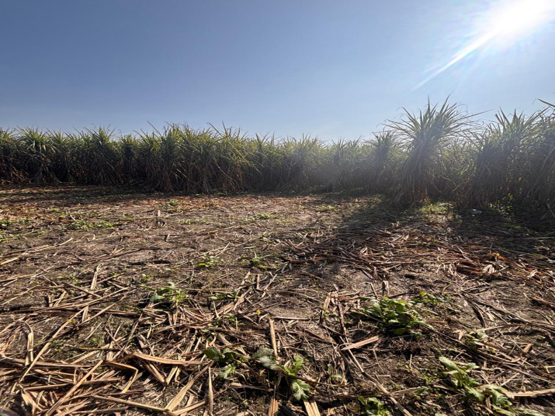  1 Bigha Agricultural/Farm Land for Rent in Jansath, Muzaffarnagar