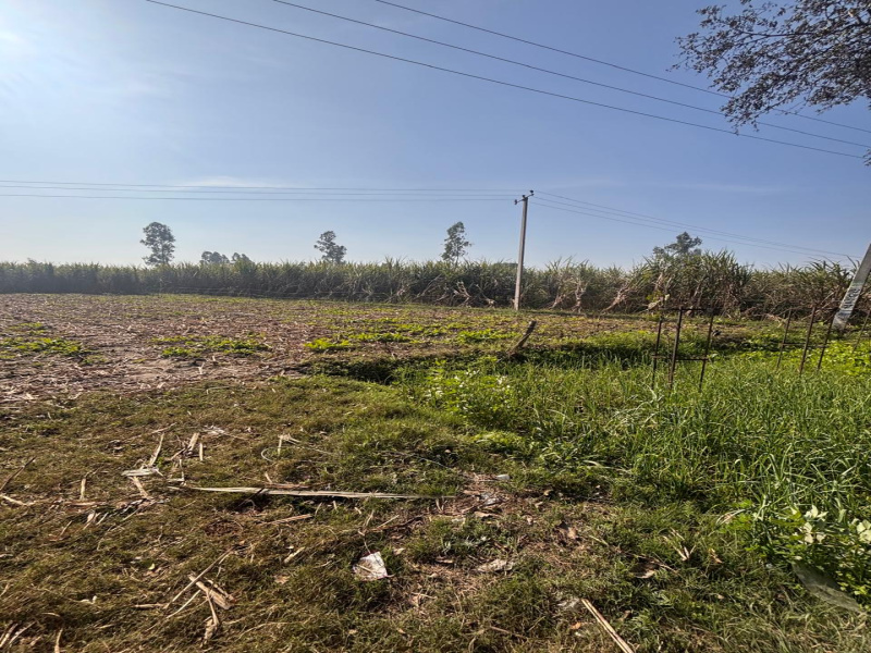  1 Bigha Agricultural/Farm Land for Rent in Jansath, Muzaffarnagar