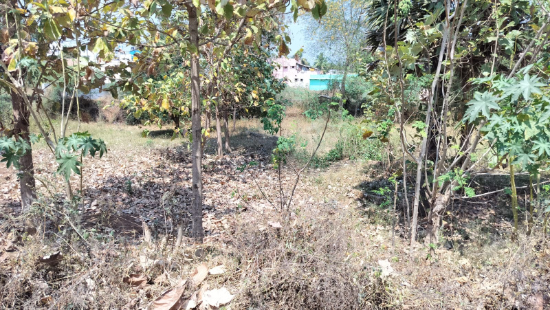  2396 Sq.ft. Residential Plot for Sale in Samayanallur, Madurai