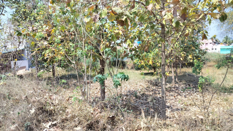  2396 Sq.ft. Residential Plot for Sale in Samayanallur, Madurai