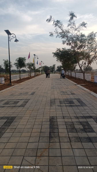  100 Sq. Yards Residential Plot for Sale in Diggi Road, Jaipur