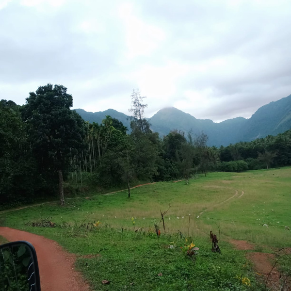  175 Cent Agricultural/Farm Land for Sale in Thamarassery, Kozhikode